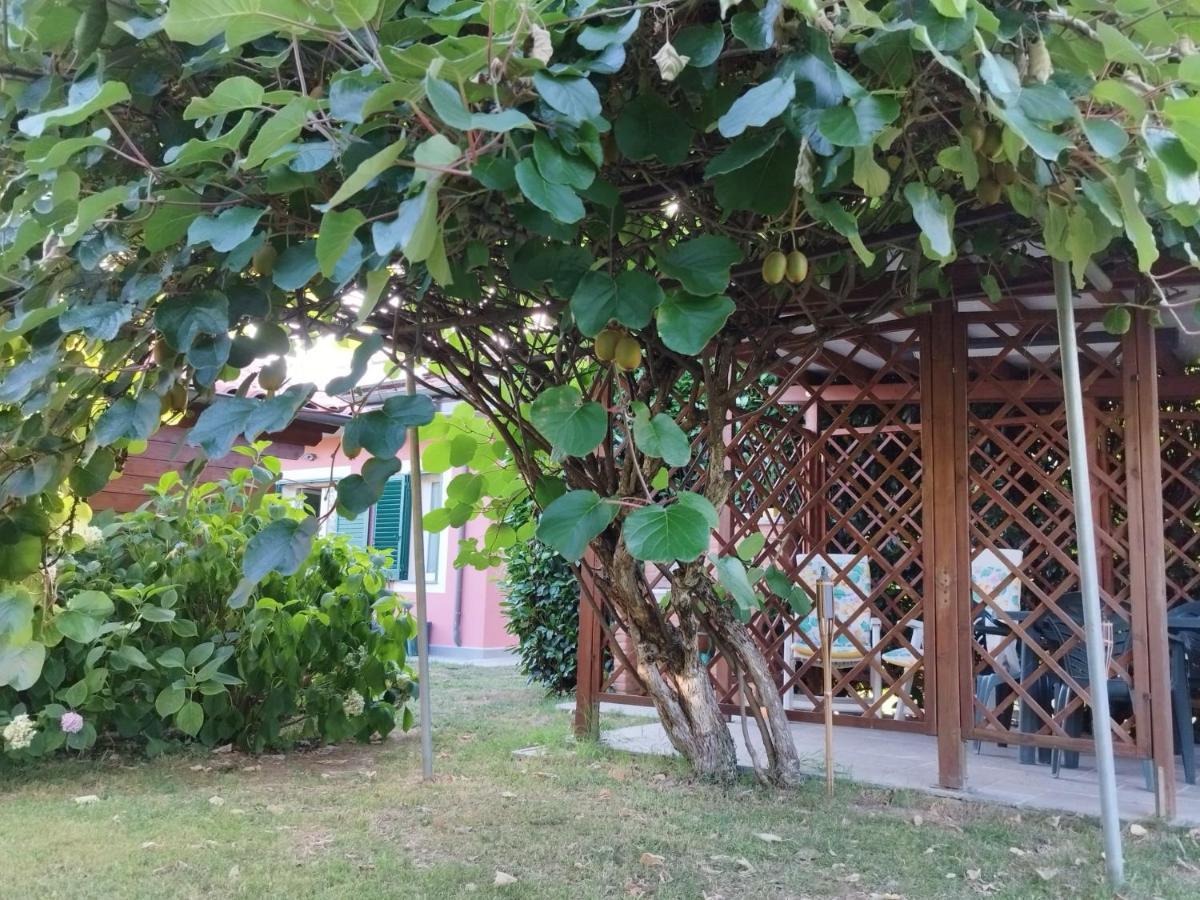 La Casina Vila Barga Exterior foto